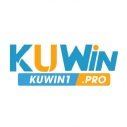 kuwin1pro avatar